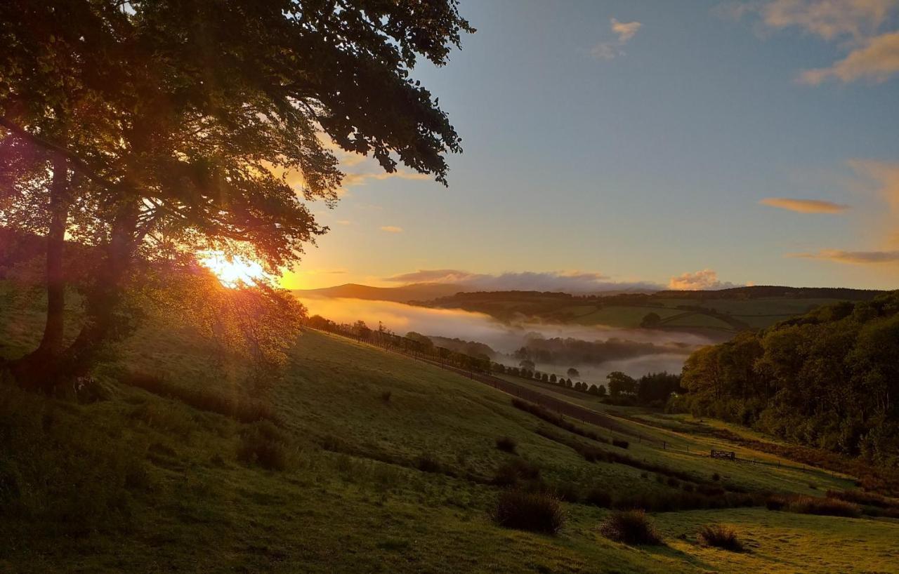 Lobhill Farmhouse Bed And Breakfast And Self Catering Accommodation オークハンプトン エクステリア 写真