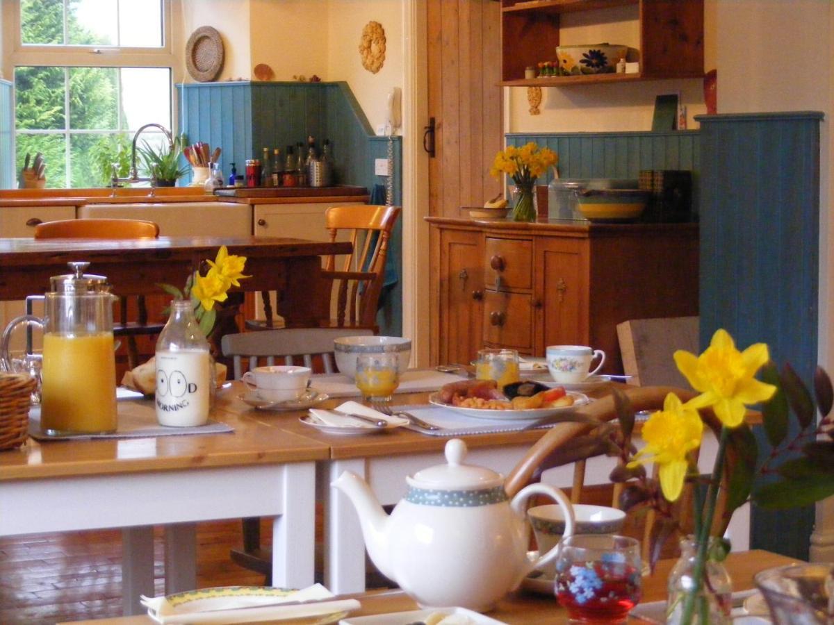 Lobhill Farmhouse Bed And Breakfast And Self Catering Accommodation オークハンプトン エクステリア 写真