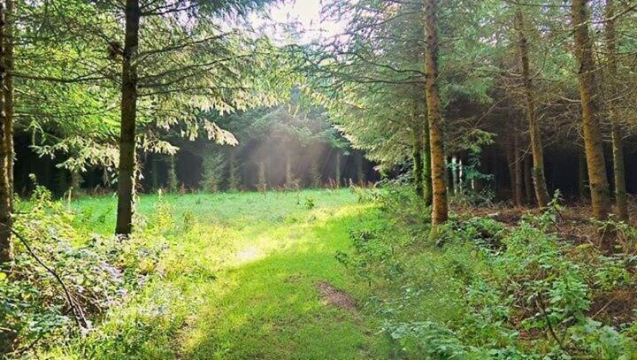 Lobhill Farmhouse Bed And Breakfast And Self Catering Accommodation オークハンプトン 部屋 写真