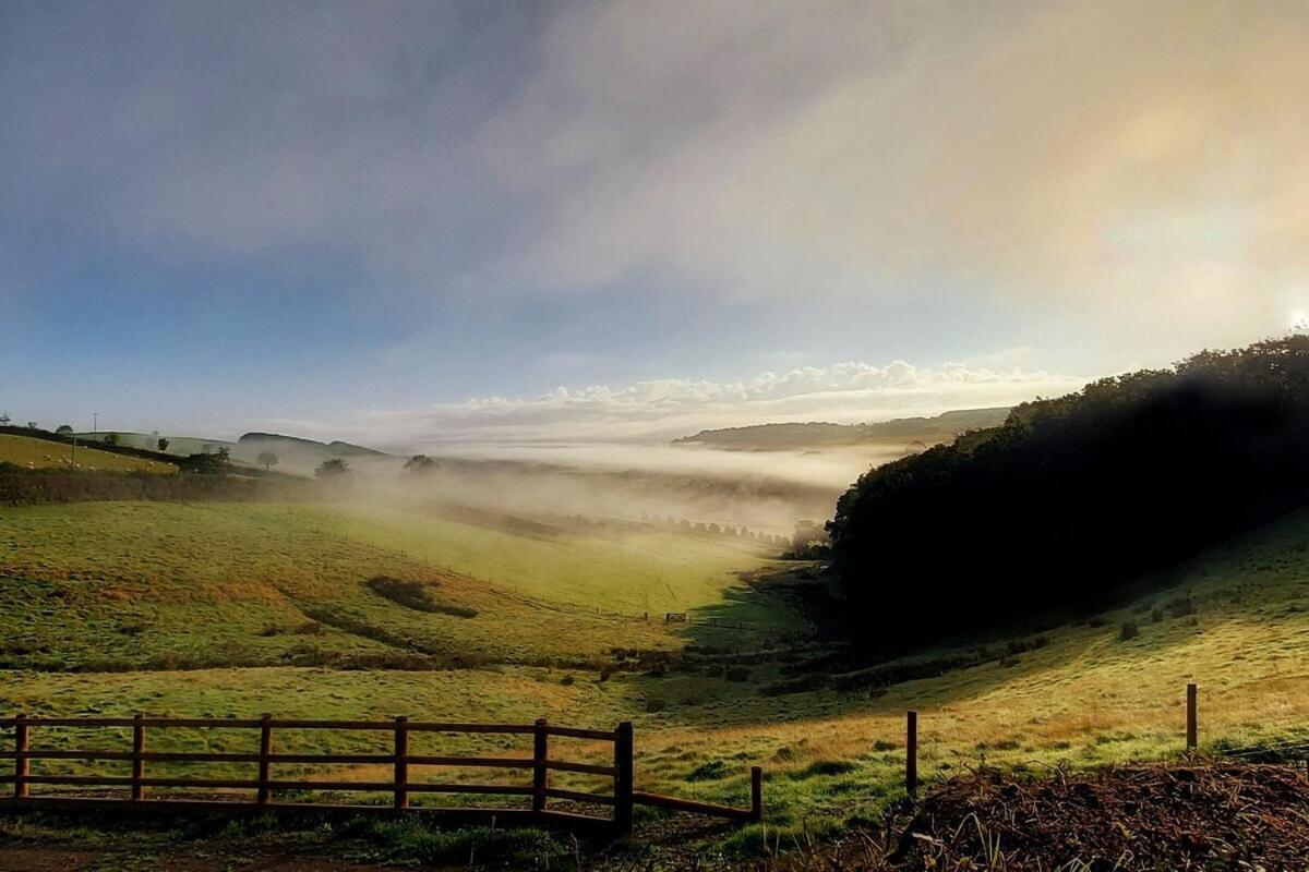 Lobhill Farmhouse Bed And Breakfast And Self Catering Accommodation オークハンプトン 部屋 写真